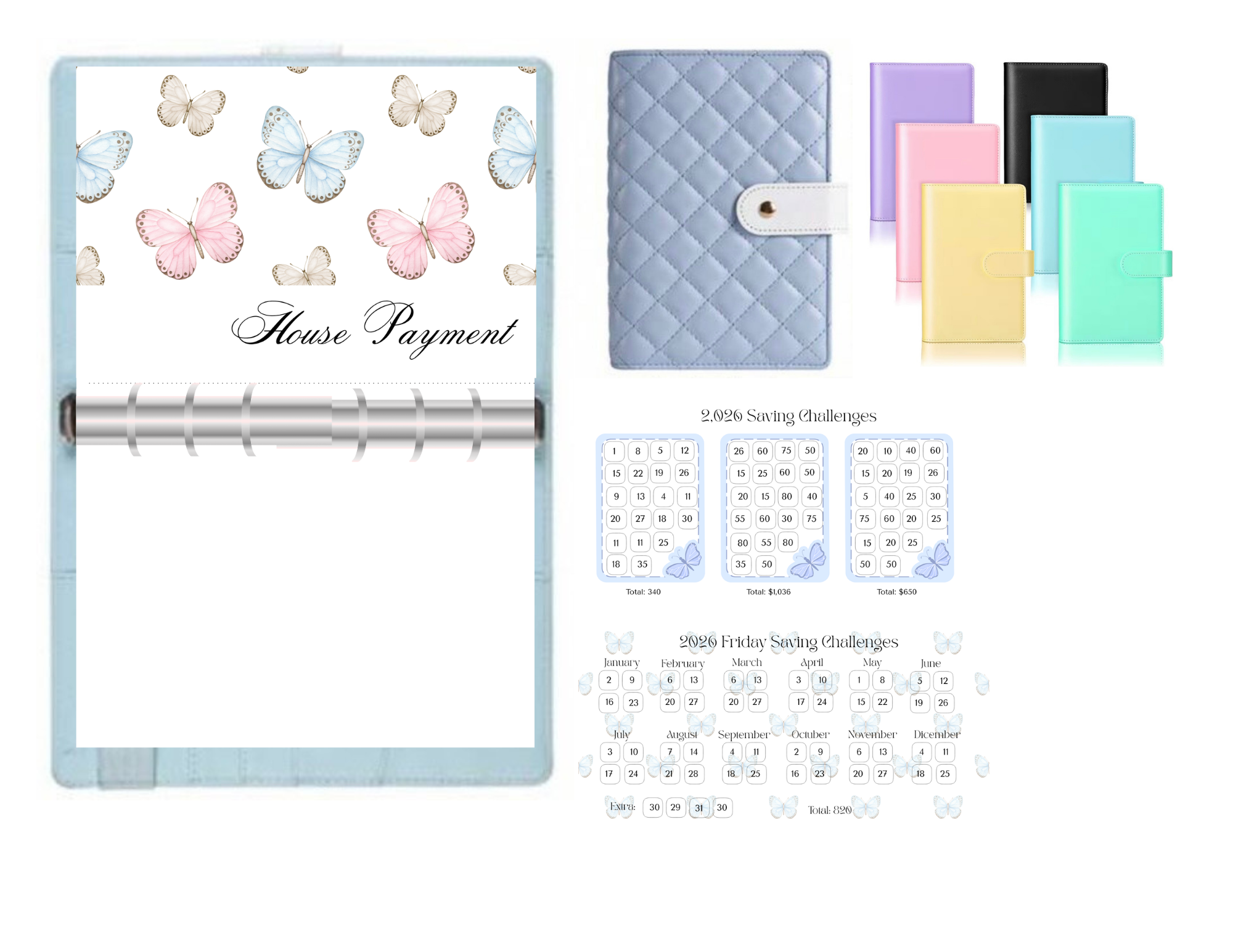 BLUE & PINK BUTTERFLY BUDGET BUNDLE